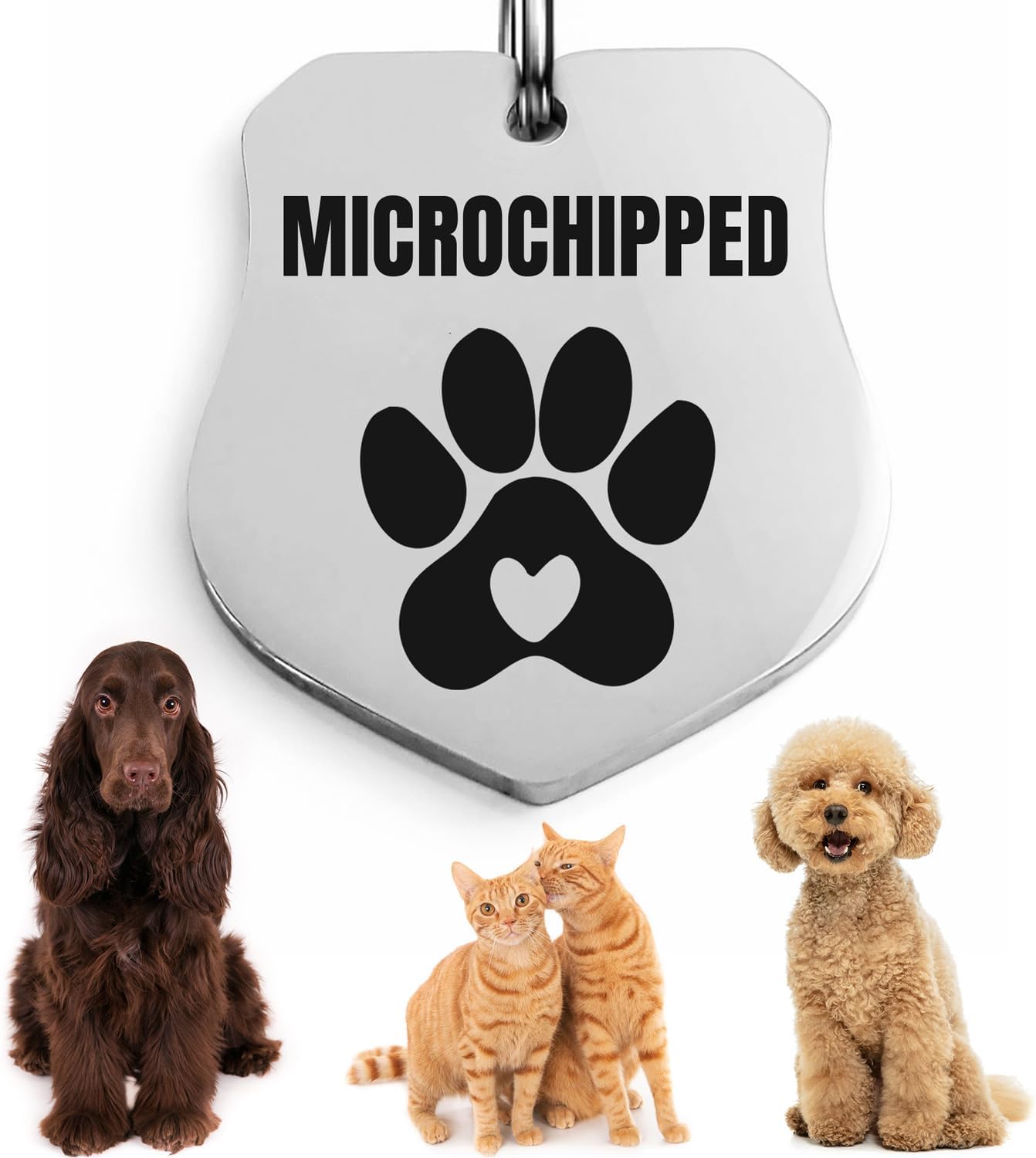 Universal Pet Tag Microchipped Pet Notation Fits All Collar Types Tag Chip Tag for Pets Dog Collar Gift Chip ID (Badge_Silver)