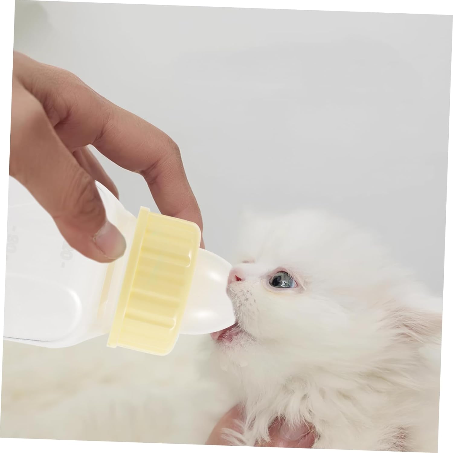 Small Pet Supply Puppy Milk Feeder Kitten Nursing Bottle Pet Bottle Set Dog Cat Feeding Household Nurser