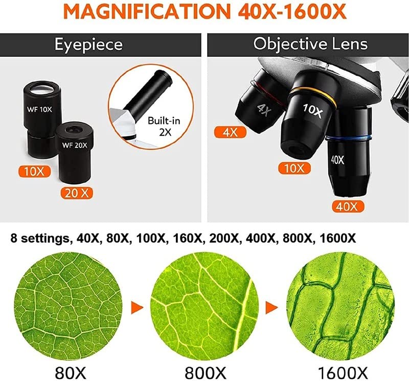Microscope 40X-1600X Microscopes Adults with Slides Set Phone Adapter Biological Microscope(Set 2)