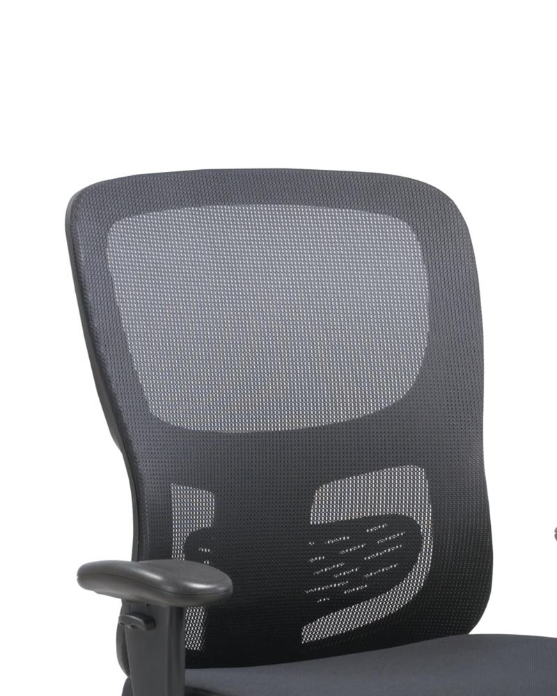 Amazon.com: HON Sadie Big and Tall Office Chair, Ergonomic Desk