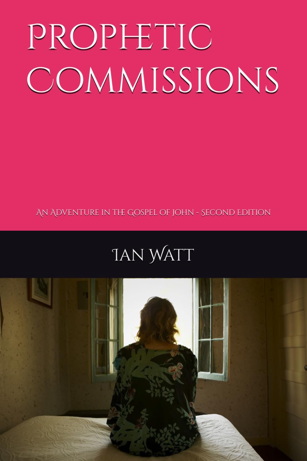 Prophetic Commissions: An Adventure in the Gospel of John - Second Edition