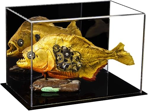 Vista 267 de Better Display Cases Versátil vitrina de acrílico transparente - Caja rectangular grande con base blanca 18" x 12" x 3" (BK09)