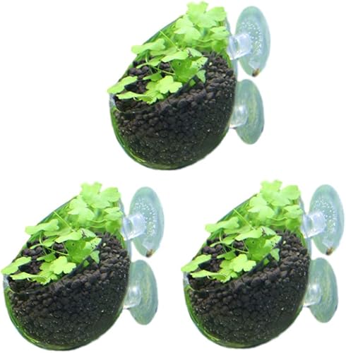 水槽内装 人工水草 でのトップ評価 役立つカスタマーレビュー Amazon Co Jp