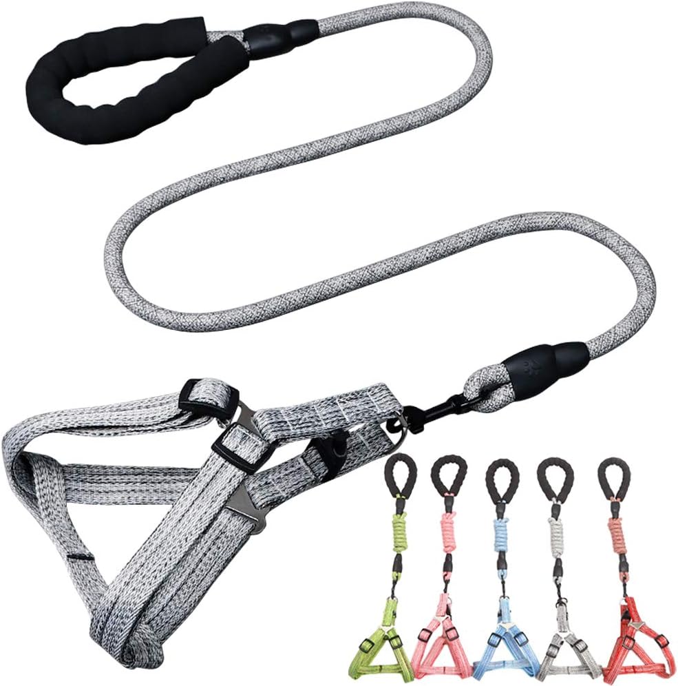 CHBORLESS No Pull Dog Harness Leash Set Adjustable Vest Durable Heavy Duty Training Dog Leash Puppy Basic Harness Leash for Small Dogs…