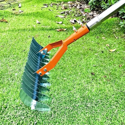 Rastrillos de eliminación de musgo resistentes de 170 cm contra suciedad 5