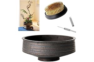 Japanese Ikebana Vase Kit & Display Stand for Home Decor