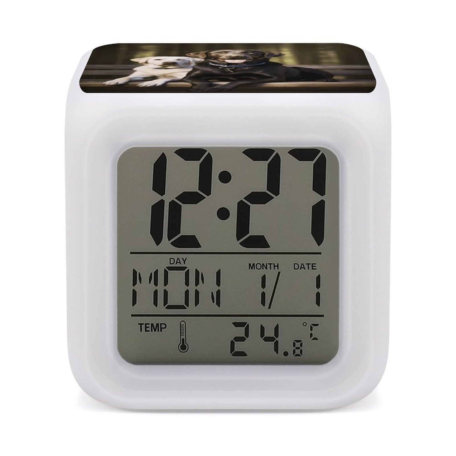 FekiLoot Labrador Alarm Clock, Personalized Cube LED Wake Up Clock with Temperature Display, 7 Color Changing Night Light Digital Clocks for Bedroom Office Decor & Heavy Sleepers