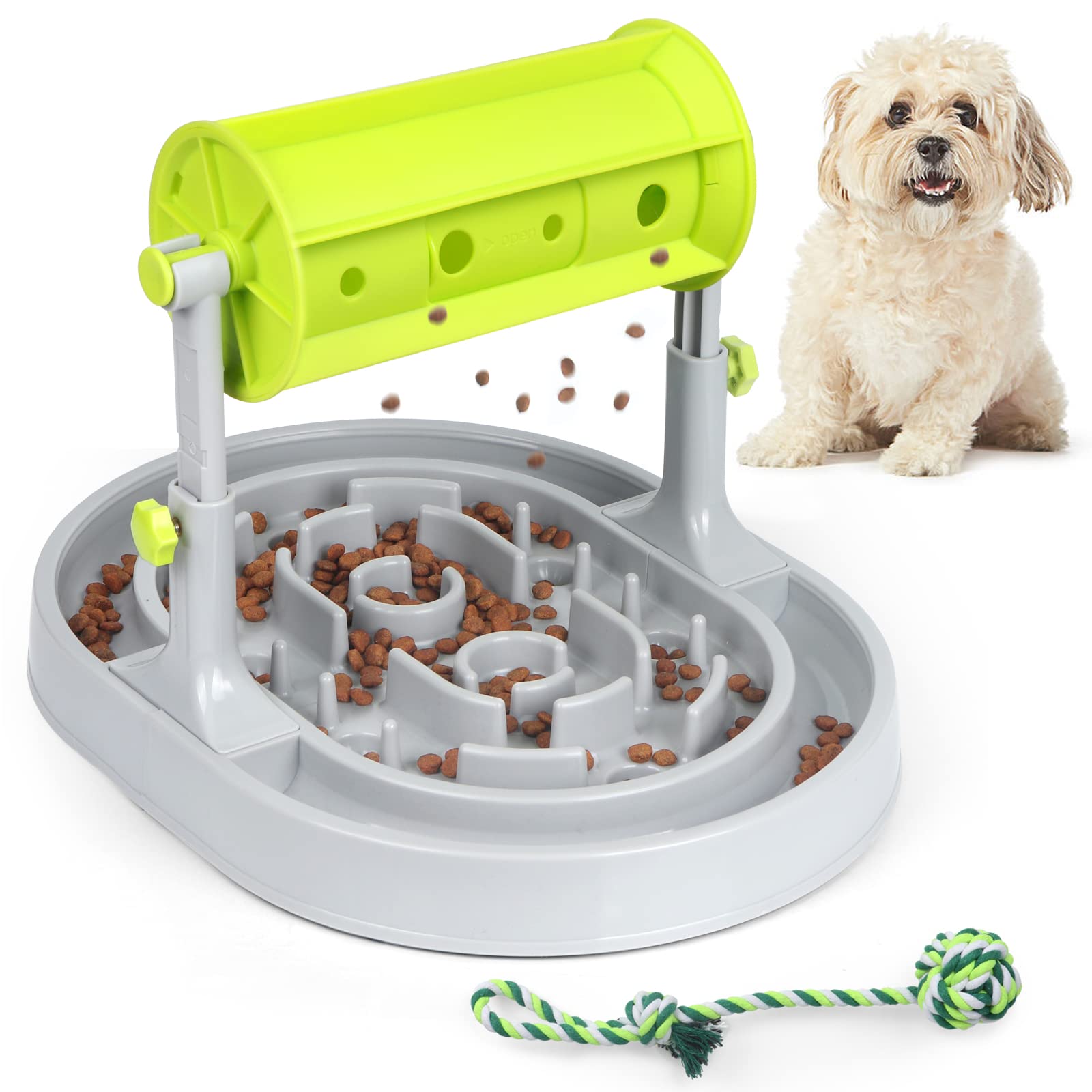 What Dog Has The Highest Iq