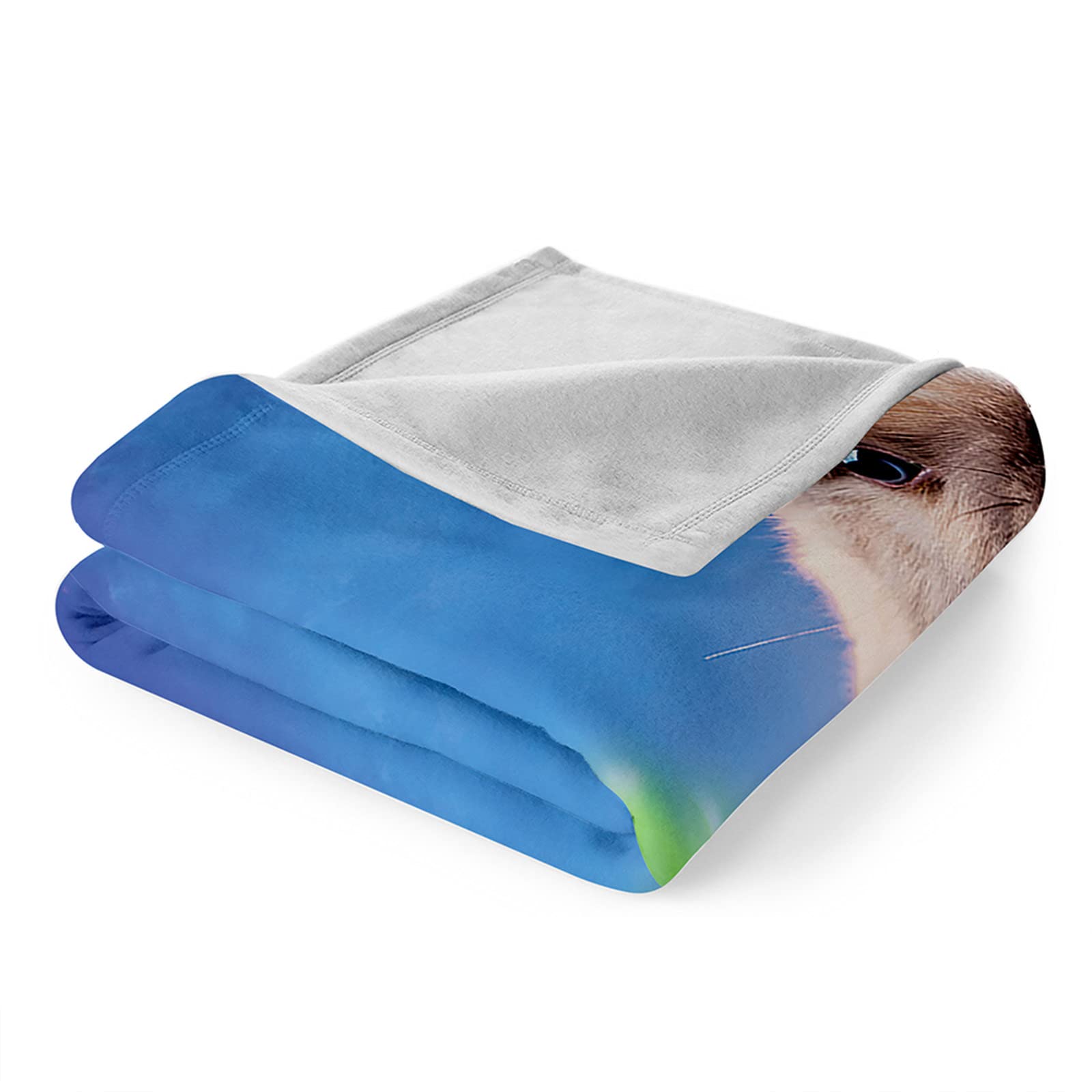 Chickwin Coperta Pasquale, Motivo Coniglietto Coperta Flanella Divano