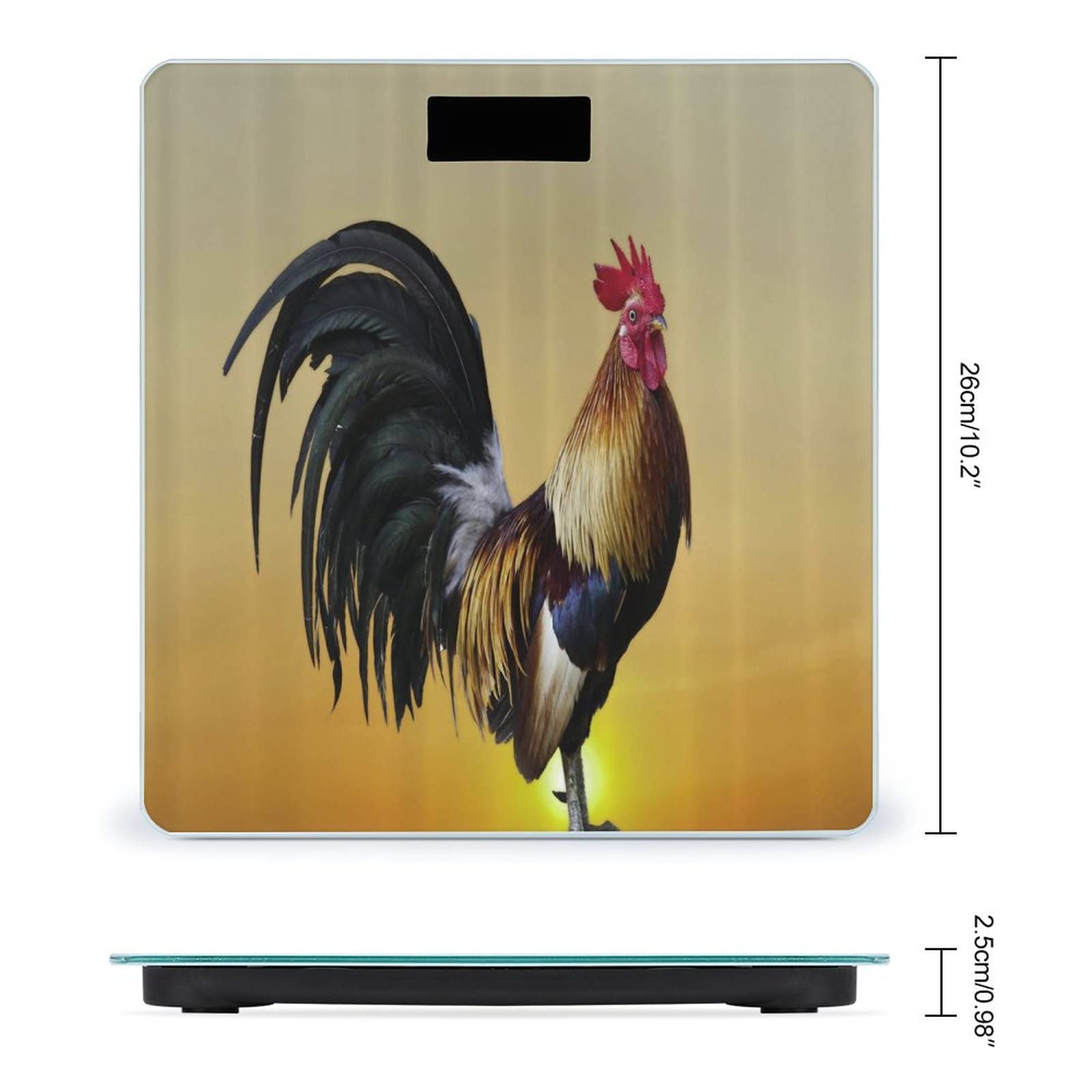 Oxiline Smart Scale MD Pro, Weight Scale, Crystal OLED Display, Complete Body Analysis, 31 Body Metrics, 8 Echo MD Electrodes