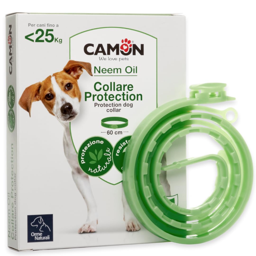 Protection collare barr cane