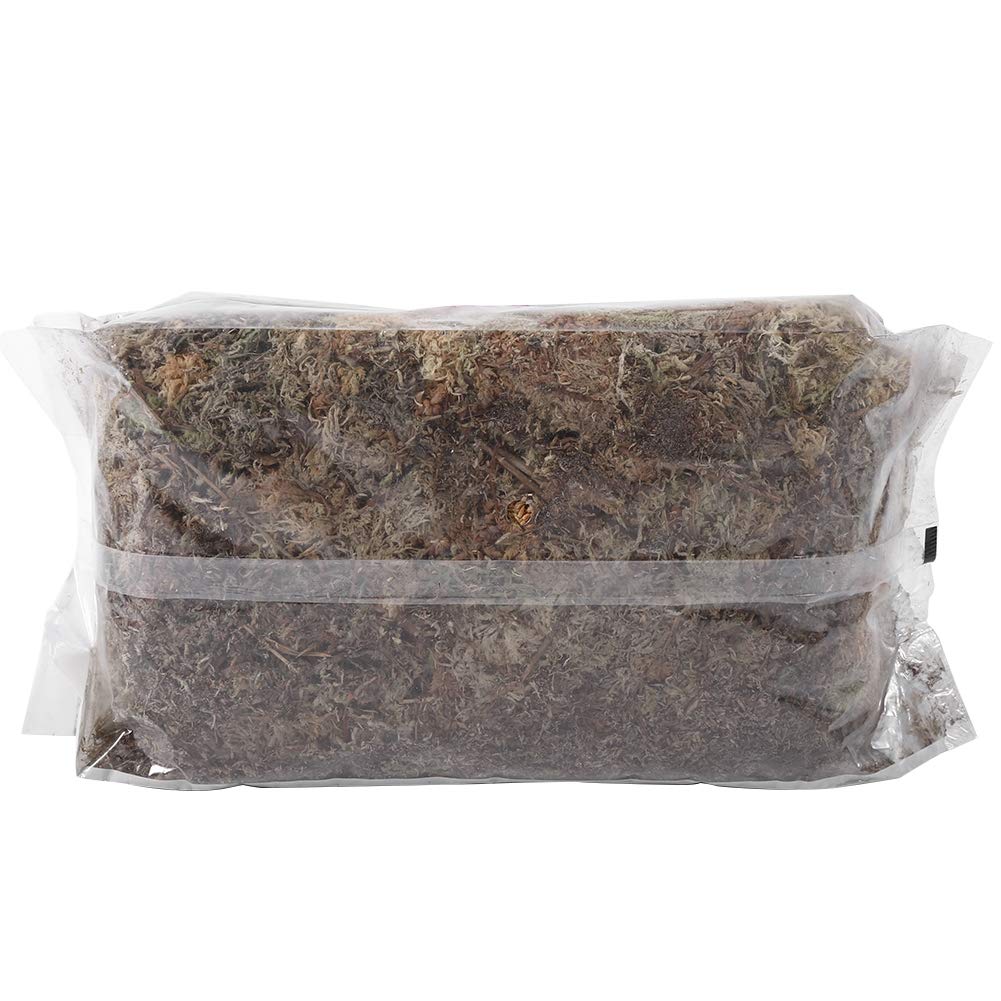 Tbest 6L Garden Sphagnum Moss Hidratante Nutrición Fertilizante Orgánico para Phalaenopsis Orchid Neuseeland Sphagnum Moos, Musgo para Hacer Coronas, Musgo Sphagnum para Coronas, Musgo