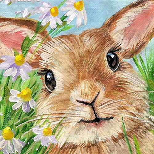 DPDP Kit de peinture diamant 5D pour adultes et enfants Décoration de la maison, de la chambre, du bureau, cadeau pour elle ou lui lapin 30 x 30 cm Cover
