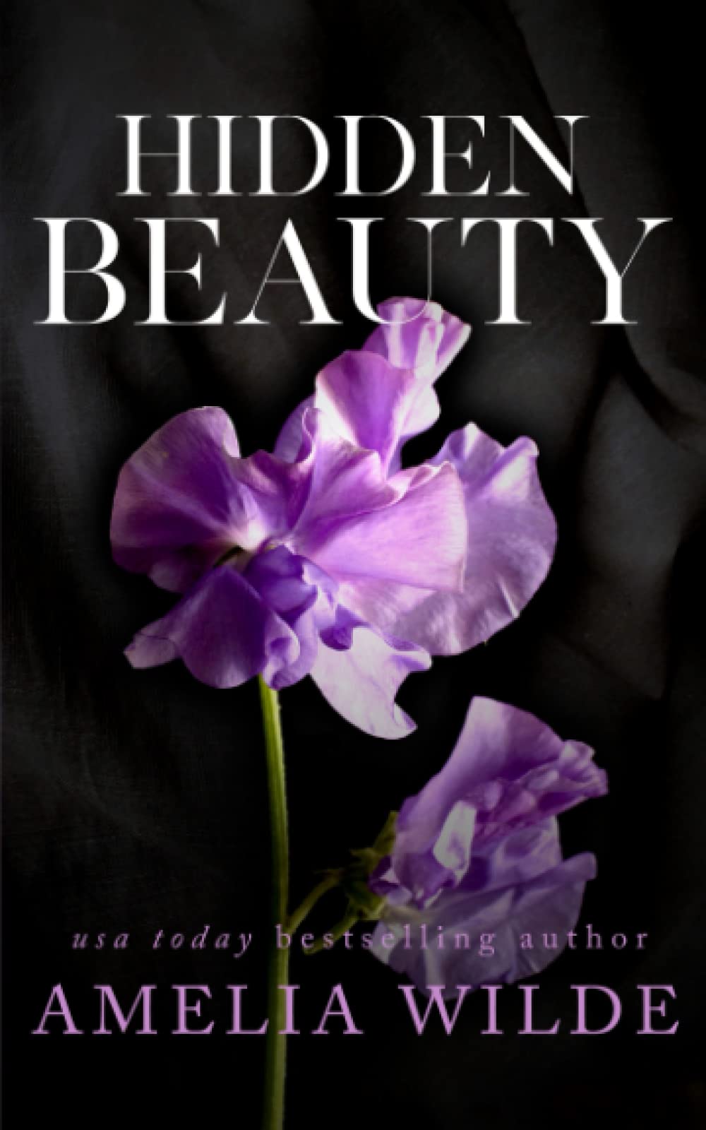 Hidden Beauty: Beast of Bishop's Landing Trilogy, Book 2