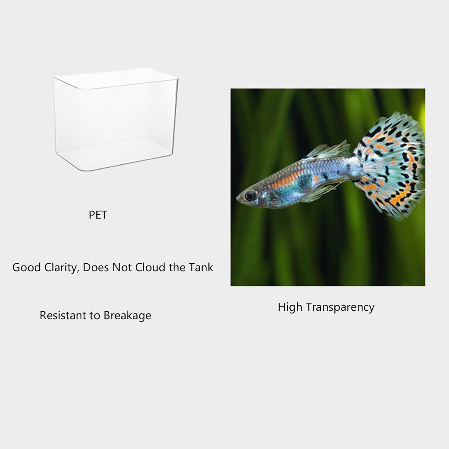 Modern Leakproof Aquarium with Child-Safe Lid & Plant Holder Home Office Desktop Fish Habitat Fishtanks with Lid