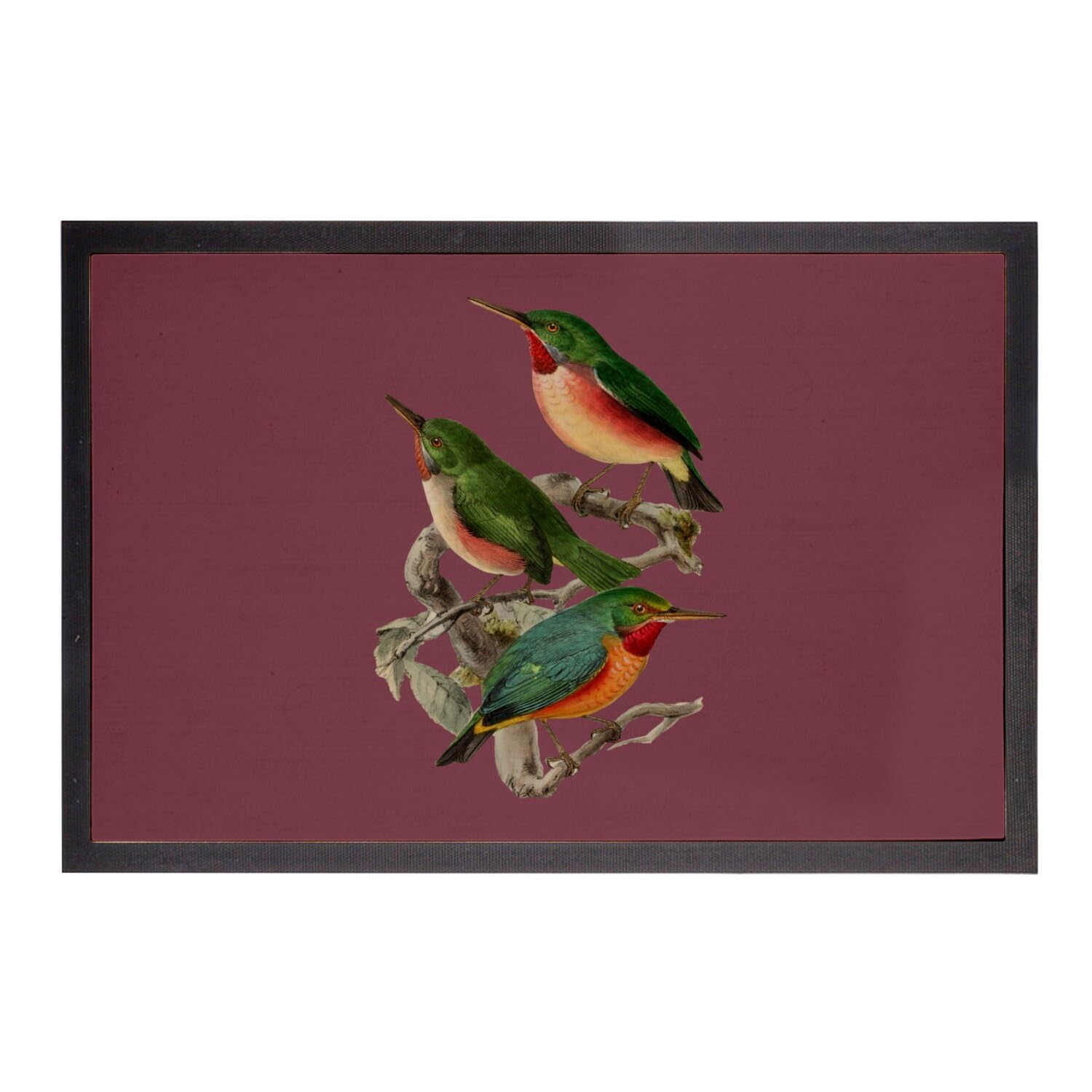 Paillasson Rouge 60x40cm Tapis Entrée Vintage Motif Oiseau Faune Biologie