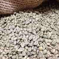 【コーヒー生豆】モカ シダモ エチオピア 10kg ※送料無料! Amazon.co.jp: 松屋珈琲 コーヒー生豆 エチオピア (モカ
