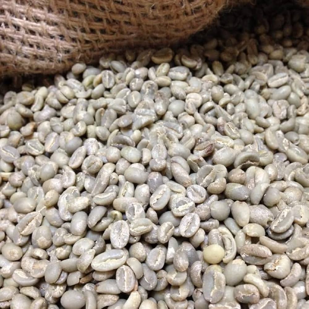 【コーヒー生豆】モカ シダモ エチオピア　10kg　 ※送料無料！！ Amazon | 【箱詰め】松屋珈琲 コーヒー生豆 エチオピア （モカ）シダモ