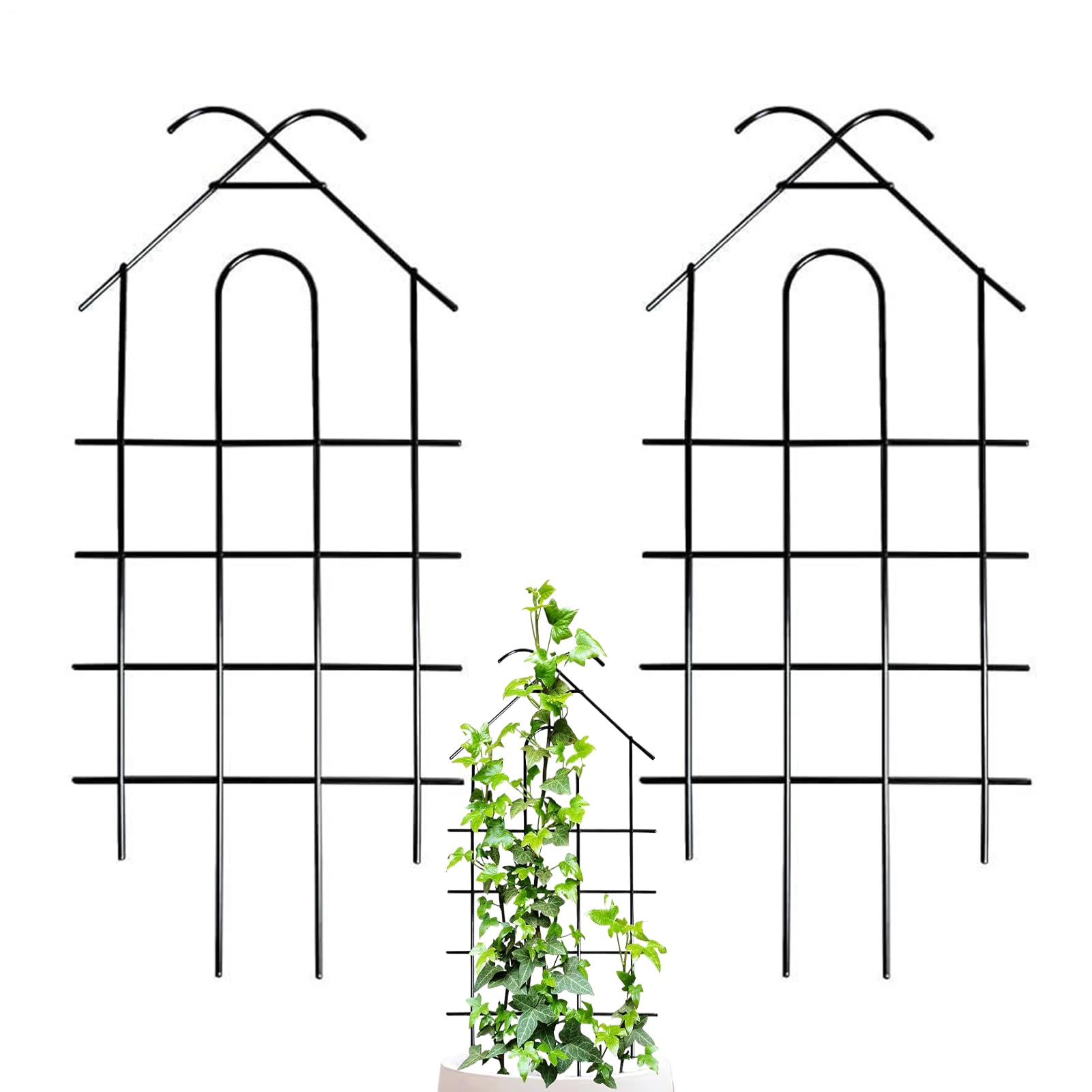 Treillis pour monstera et lierre afin de redresser vos plantes