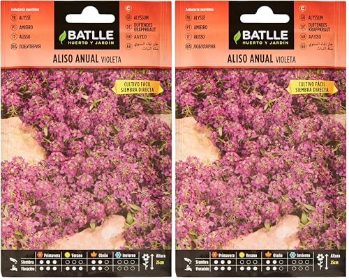 Semillas Batlle Aliso Anual VIOLETA (Paquete de 2)