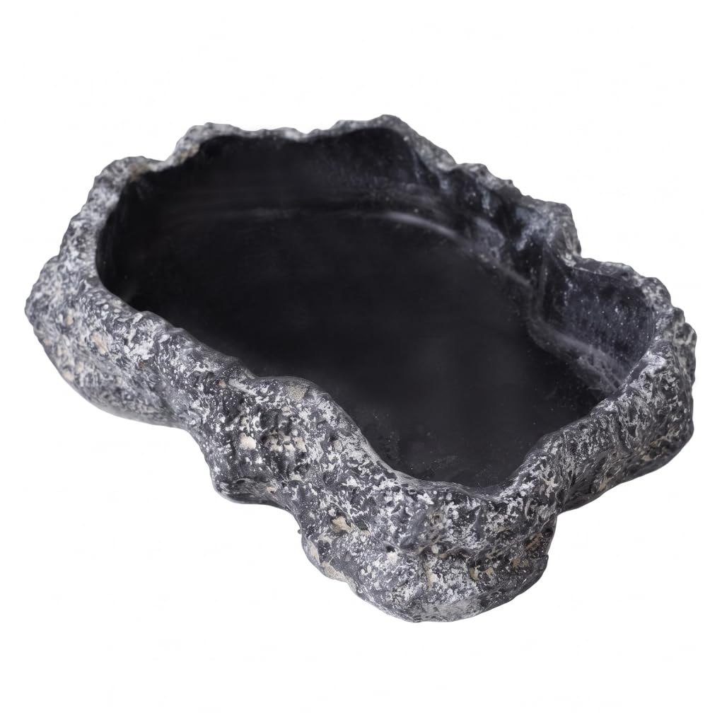 Plato de agua para reptiles ideal para recrear entornos desérticos y tropicales en casa