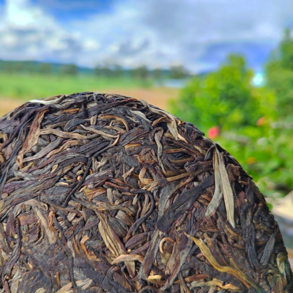 Té De Árbol Antiguo Tianmenshan, 200g Yiwu Gaogan Té Pu 'er Crudo, Esencia De Árboles Milenarios De Yunnan