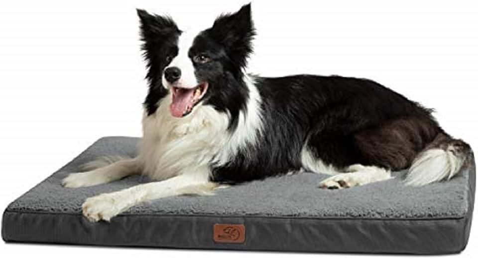 Amazon.co.uk Dog Beds Dog Beds / Beds, Bedding & Furniture for Dogs