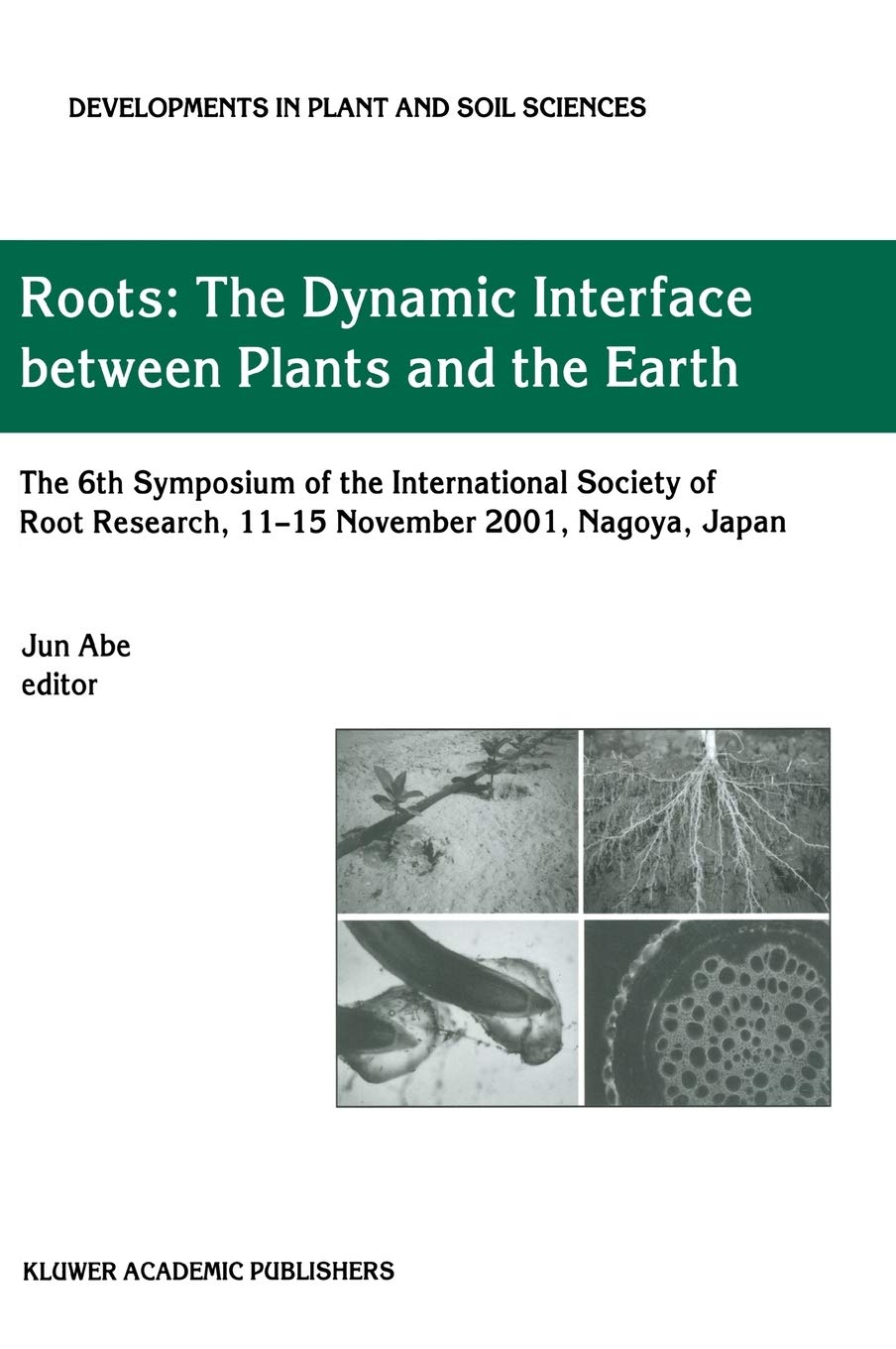 Roots: The Dynamic Interface between Plants and the Earth