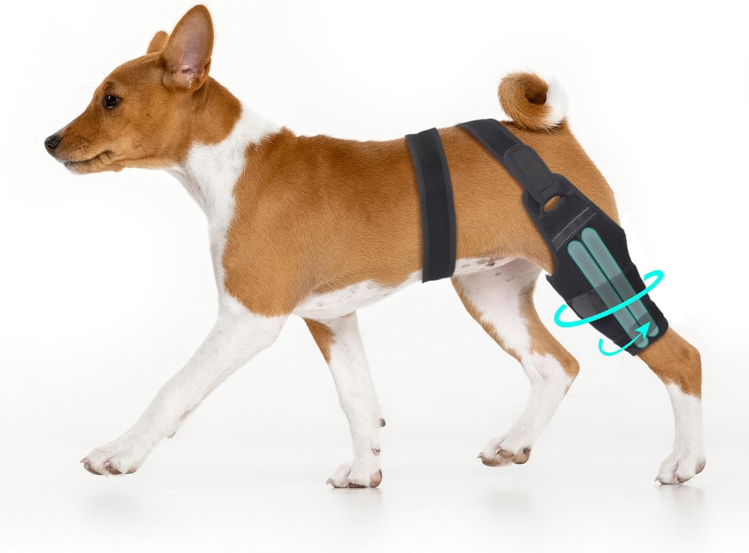 Dog ACL Knee Brace,Adjustable Rear Leg Support Brace, Cruciate Ligament Injury Recovery, Arthritis & Joint Pain Relief (Right,Small) Right Small