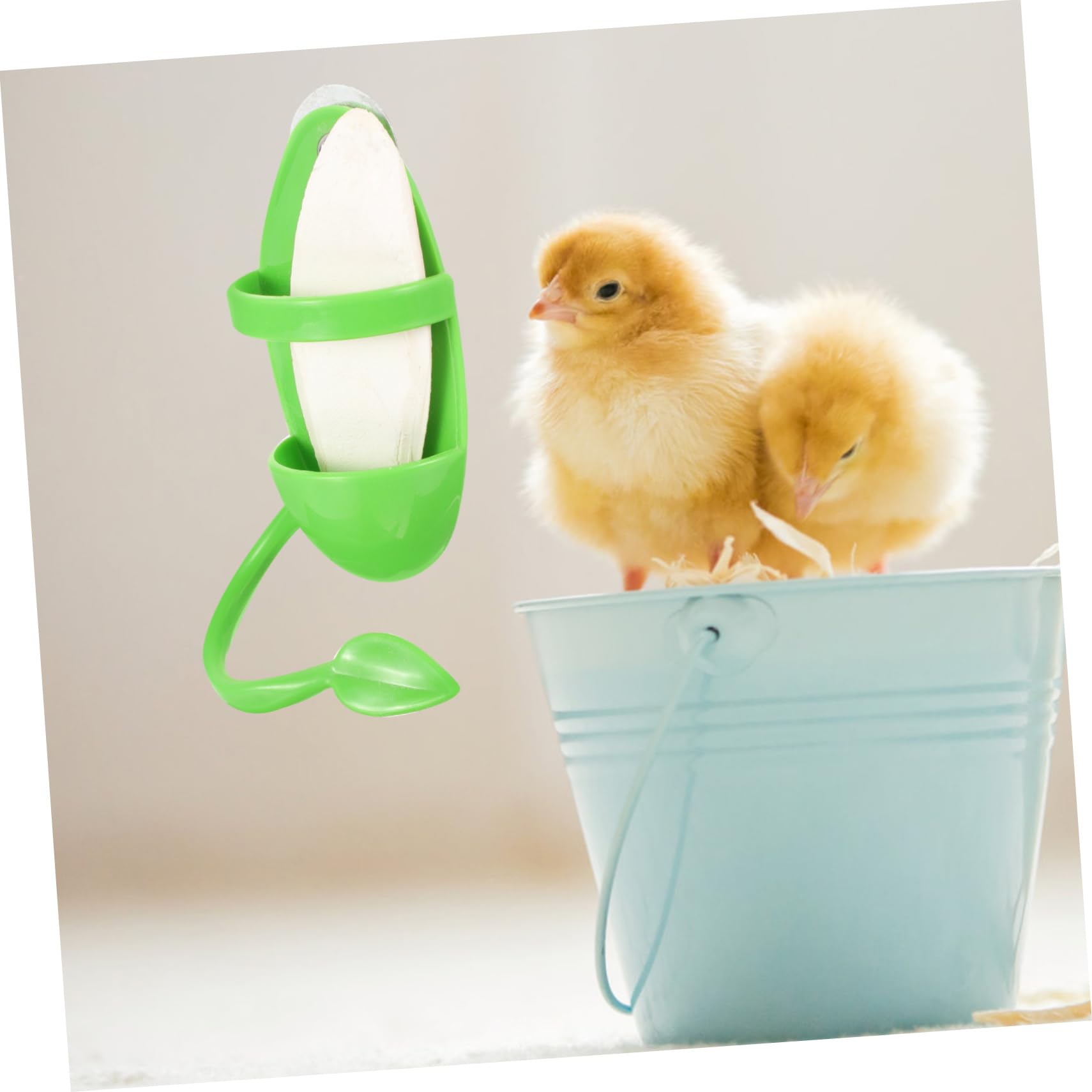 BESPORTBLE 4 Juegos Cuenco para Comer Aves Jaula pájaros Comida Soporte Herramientas comedero para periquitos porronet Juguete Estante alimentación la Jaula comedero para Loros