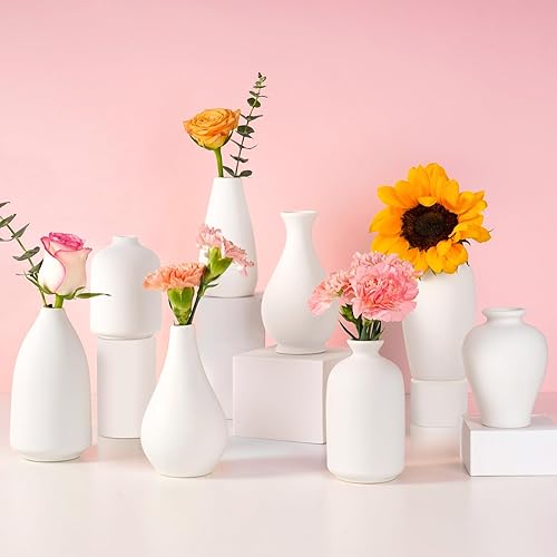 8 Pack Ceramic Bud Vase, White Ceramic Vase Modern Mini