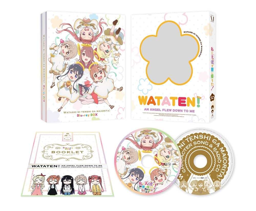 Amazon.co.jp: 私に天使が舞い降りた！: DVD