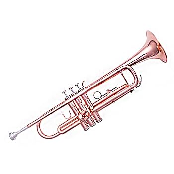 Amazon | 初心者金管楽器 学生、初心者、大人向けの表面が完全に