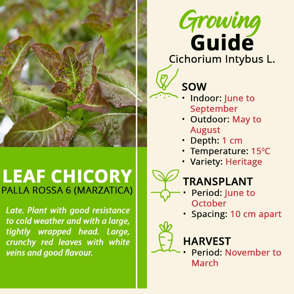 View 4