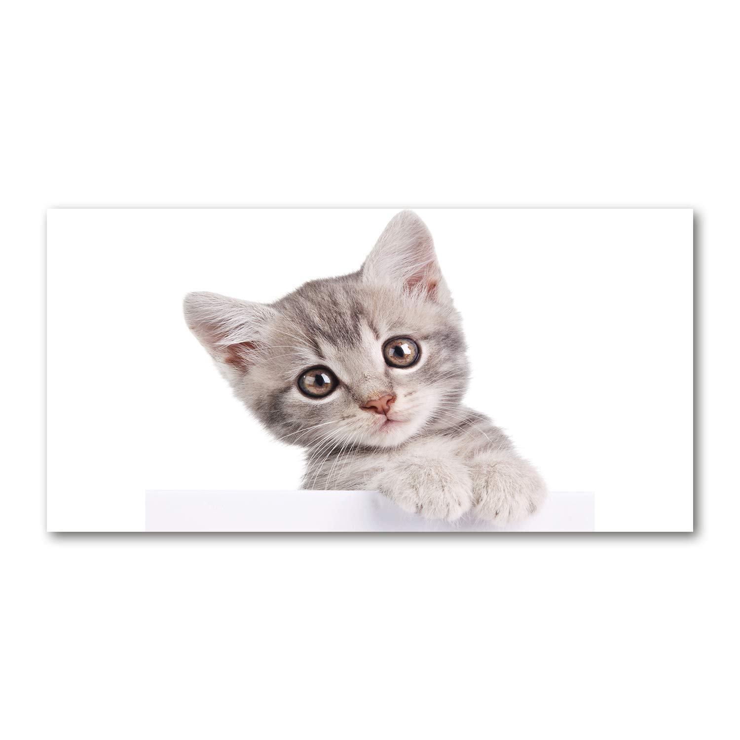 Image sur verre 120x60 cm chat gris Tulup tableau cuisine moderne