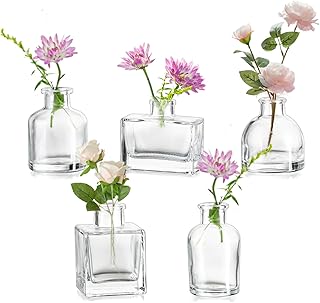 Hewory Small Vases for Table Decoration Party: Set of 5 Mini Vases Set Various Small Glass Vases Set for Table Decoration Living Room - Modern Flower Vase Glass for Wedding Decoration Home Decor