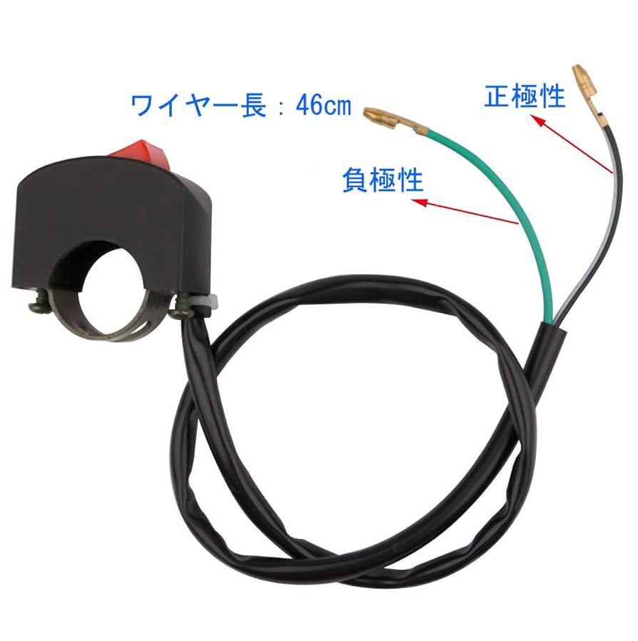 はるじおん Amazon | ゼンオン 木琴 22音 ZX22K 日本製 バチ付き | 木琴