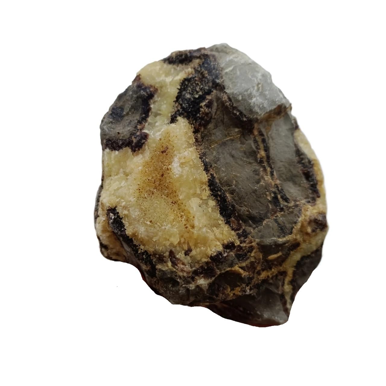 AARTERZZA 1pcs 100-200g Turtle Back Stone, Quartz Crystal