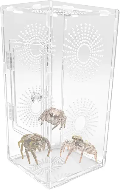 Hopping Spiders Habitat, Clear Terrarium For Prayers And Frogs, Ventilated Accessories For Feeding Insects Young And Adults