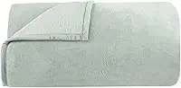 Cobertor Queen Buddemeyer Aspen ll 100% Poliéster Verde