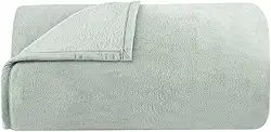 Cobertor Queen Buddemeyer Aspen ll 100% Poliéster Verde