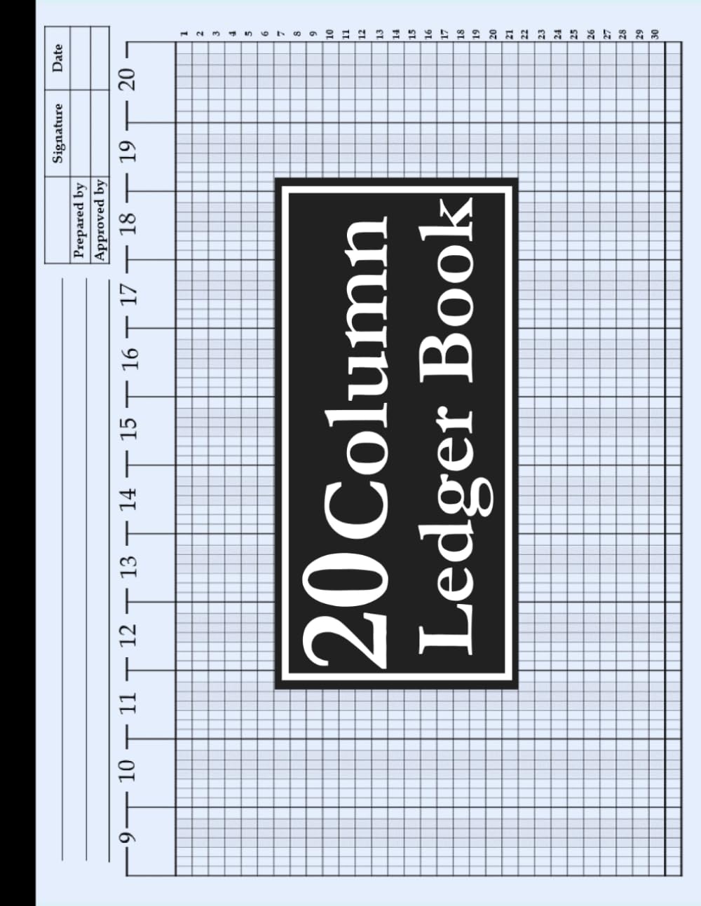 20 Column Ledger Book Horizontal Large Accounting Tracker