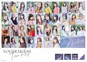 乃木坂46 / 命は美しい B2ポスター ☆非売品 乃木坂46 西野七瀬 命は美しい B2ポスターの通販 by