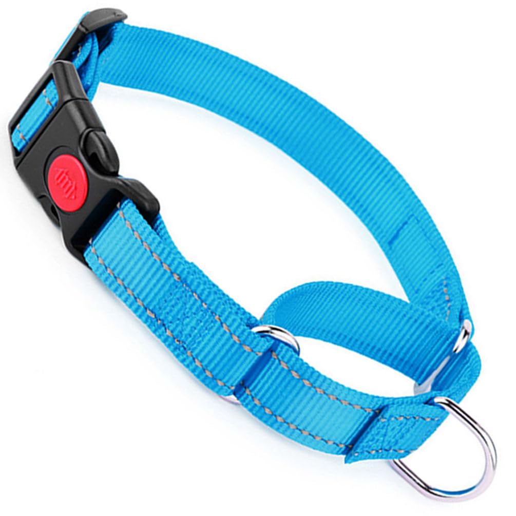 Martingale Collar For Dogs, Reflective Escape Proof Training Dog Collars With Quick Release Buckle No Slip Soft Nylon Martingale Dog Collar For Small Medium Large Pets (Sky Blue, S)