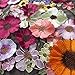 Labellezalay 3D Flowers lace Fabric, Big Flowers Embroidery Curtain,Table Cloth,Prom Dress Fabric 1 Yard,42 inches Wide