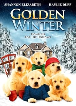DVD Golden Winter Book
