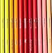 Amazon Basics Colored Pencils for Coloring and Drawing, Premium, Soft Core, Back to School Supplies, 48 Count (Pack of 1), Multicolor