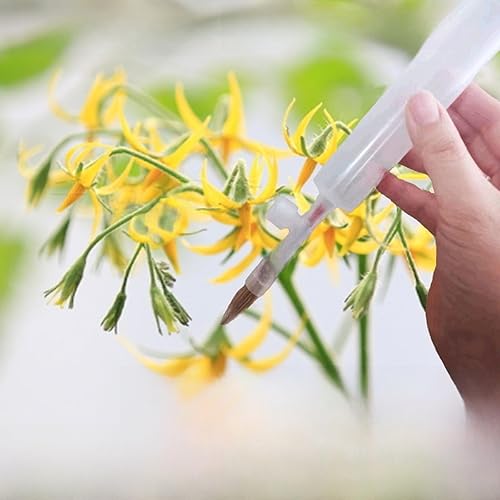 Miniatura 6 de Cepillo de polinización manual para tomates, berenjenas, pimientos, herramienta polinizadora de verduras, accesorios de polinización de jardín para
