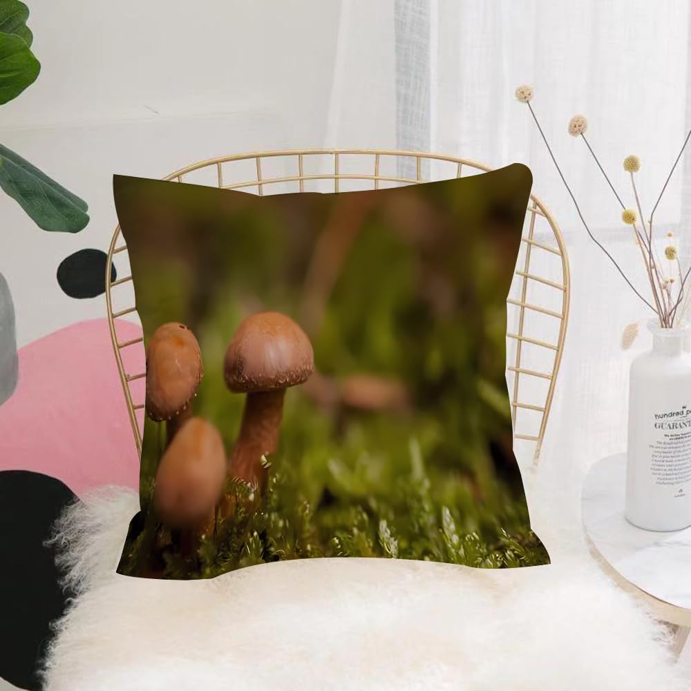 HYOSXW Cushion Cover,Throw Pillow Case Home Decorative for Living Room Bedroom Sofa Chair 16X16 Inch,brown mushrooms growing on wood with moss,Pillowcase 40X40cm