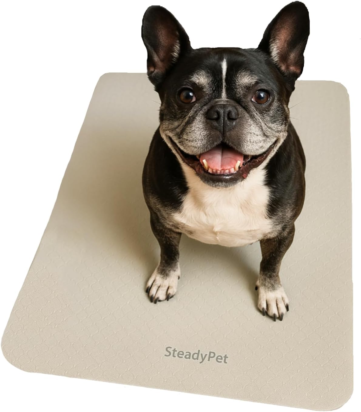 SteadyPet Non-Slip Traction & Standing Mat for Dogs – Provides Grip & Stability for Eating & Grooming – Cushioned TPE Foam for Joint Support – Prevents Slipping – Ideal for Senior & Special Needs Dogs